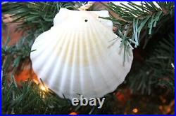 Beach Theme Holiday Decor Large Seashell Swag Garland, Handmade, 68 +, G-89 Beach Theme Holiday Decor Large Seashell Swag Garland, Handmade, 68 +, G-89