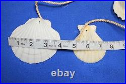 Beach Theme Holiday Decor Large Seashell Swag Garland, Handmade, 68 +, G-89 Beach Theme Holiday Decor Large Seashell Swag Garland, Handmade, 68 +, G-89