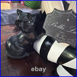 Bella Lux Sitting Witch With Green Hair & Black Cat 24 Large Halloween Decor #1