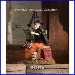 Bethany Lowe Halloween How to Train your Black Cat Witch TD1203 Free Shipping