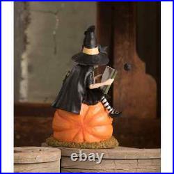 Bethany Lowe Halloween How to Train your Black Cat Witch TD1203 Free Shipping