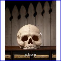 Bethany Lowe Halloween Skull Votive TD4136