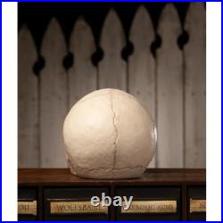 Bethany Lowe Halloween Skull Votive TD4136