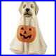 Bethany_Lowe_Halloween_Spooky_Ghost_Dog_Collectible_Halloween_Decoration_TD5046_01_rhdp