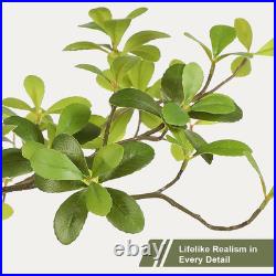 Black Olive Tree 7Ft Faux Black Olive Tree with Natural Trunk and Realistic Le