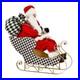 Brand_New_Mackenzie_Childs_Classic_Courtly_Fabric_Santa_In_Sleigh_01_wqzf