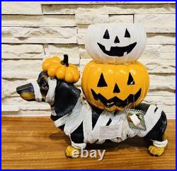 Brighten the season Dachshund mummy with pumpkin