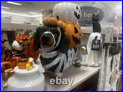 Brighten the season Dachshund mummy with pumpkin