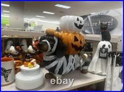 Brighten the season Dachshund mummy with pumpkin