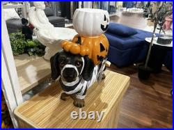 Brighten the season Dachshund mummy with pumpkin