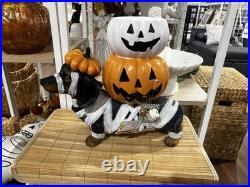 Brighten the season Dachshund mummy with pumpkin