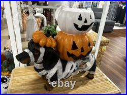 Brighten the season Dachshund mummy with pumpkin