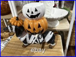 Brighten the season Dachshund mummy with pumpkin