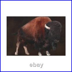 Canvas Gallery Wraps, rustic decor, american bison southwestern, western arts