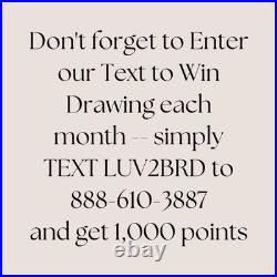 Captivating 10.5 Round Planter is a Talavera Ceramic Flower Pot Handmade