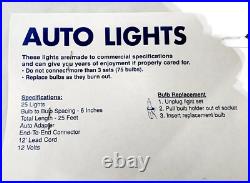 Case of 24- Bethlehem Lights 12V Auto/ Car Adapted Decorative Christmas Lights
