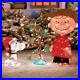 Charlie_Brown_Snoopy_The_Lonely_Tree_Lighted_Outdoor_Christmas_Decoration_3pc_01_vg