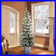 Chrismas_Tree_7_5_Pre_Lit_Potted_Flocked_Arctic_Fir_Pencil_Artificial_Christmas_01_zek