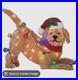 Christmas_Goldendoodle_24_LED_Light_Up_Fluffy_Doodle_Dog_Holiday_Yard_Decor_NIB_01_jth