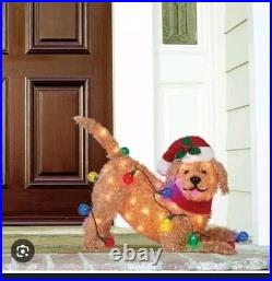 Christmas Goldendoodle 24 LED Light Up Fluffy Doodle Dog Holiday Yard Decor NIB