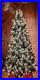 Christmas_Tree_01_hrw