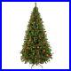 Christmas_Tree_7_5FT_1450_Branch_01_bt