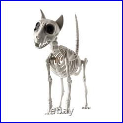 Courtyard Graveyard Decor Halloween Skeleton Animal Decoration Plastic Bones