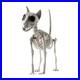 Courtyard_Graveyard_Decor_Halloween_Skeleton_Animal_Decoration_Plastic_Bones_01_wamb