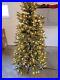 Discontinued_Balsam_Hill_6_5_Calistoga_Fir_with_clear_lights_01_ly