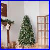 Flocked_Artificial_Christmas_Tree_Pre_lit_Snowy_Aspen_Spruce_Christmas_Tree_01_bbxz