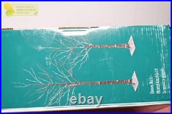 Flocked LED Birch Tree Set of 2, 1598843