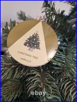 Galway Crystal Lighted 25 Christmas Tree + 30 Crystal ornaments Teleflora