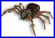 Giant_Brown_Furry_Spider_W_Green_Lighted_Eyes_Poseable_Legs_Halloween_Decor_58L_01_fumr