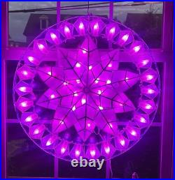 Gift Ko Poinsettia 25 Smart Parol COLOR CHANGING Filipino Christmas Lantern DC Gift Ko Poinsettia 25 Smart Parol COLOR CHANGING Filipino Christmas Lantern DC