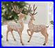 Gingerbread_Lace_Reindeers_by_Valerie_Set_of_2_Exquisite_01_dh