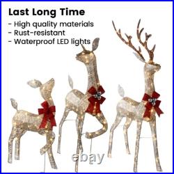 Golden Christmas Lighted Reindeer Family Set for Indoor Outdoor Yard Decor