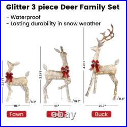 Golden Christmas Lighted Reindeer Family Set for Indoor Outdoor Yard Decor