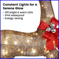 Golden Christmas Lighted Reindeer Family Set for Indoor Outdoor Yard Decor
