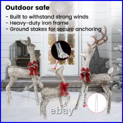 Golden Christmas Lighted Reindeer Family Set for Indoor Outdoor Yard Decor