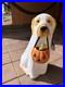 Golden_Retriever_Halloween_Dog_Blow_Mold_Ghost_LED_Lit_2024_Home_Depot_2_5_Ft_01_huh