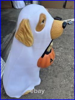 Golden Retriever Halloween Dog Blow Mold Ghost LED Lit 2024 Home Depot 2.5 Ft