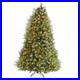 Green_Flocked_Artificial_Holiday_Christmas_Pine_Tree_for_Home_Office_Party_01_pxx