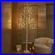 Hairui_Lighted_Birch_Tree_Artificial_Twig_Tree_with_Lights_Christmas_Decoration_01_fea