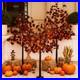 Halloween_Decor_Set_4ft_5ft_6ft_Black_Maple_Trees_384_LED_Lights_24_Sku_01_gw