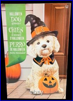 Halloween Dog Greeter Statue 26.5 Witch Hat Puppy with Pumpkin NEW