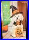 Halloween_Dog_Greeter_Statue_26_5_Witch_Hat_Puppy_with_Pumpkin_NEW_01_uer