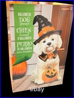 Halloween Dog Greeter Statue 26.5 Witch Hat Puppy with Pumpkin NEW