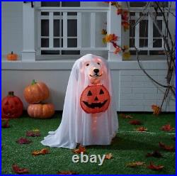 Halloween Haunted Living 24-in Lighted Labrador Retriever Dog with Cape 2024 NEW