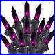 Halloween_String_Lights_Outdoor_2_Pack_100_Count_25_Feet_Incandescent_Bulb_Mini_01_atag