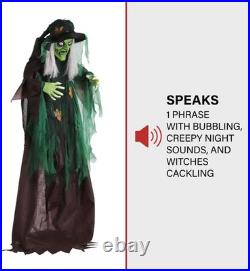 Haunted Hill Farm Talking Forest Witch Halloween 6ft Standing Haunted Hill Farm Talking Forest Witch Halloween 6ft Standing